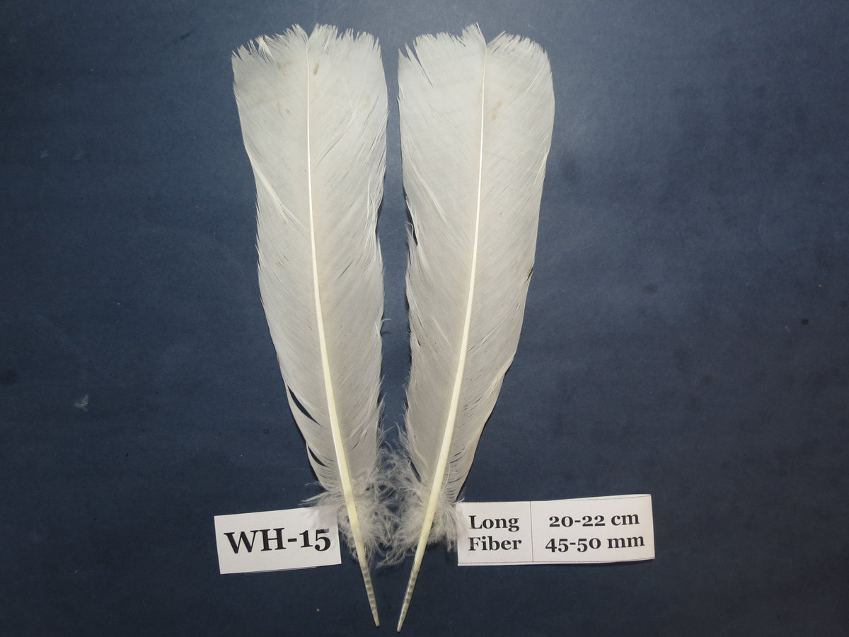 White Turkey Tail Feathers  (One Pair Set) ,Fly Tying Material,Craft Feathers,Natural Turkey Feathers.