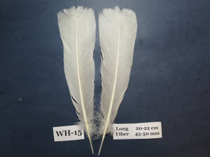 White Turkey Tail Feathers  (One Pair Set) ,Fly Tying Material,Craft Feathers,Natural Turkey Feathers.