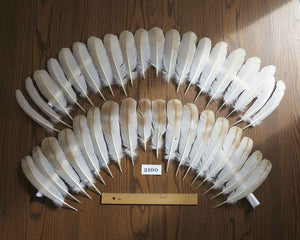 38 Pcs Turkey Wing Feathers, Fly Tying Material,Craft Feathers,Natural Turkey Feathers (2100)