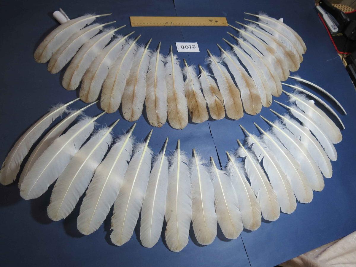 38 Pcs Turkey Wing Feathers, Fly Tying Material,Craft Feathers,Natural Turkey Feathers (2100)