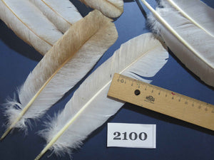 38 Pcs Turkey Wing Feathers, Fly Tying Material,Craft Feathers,Natural Turkey Feathers (2100)