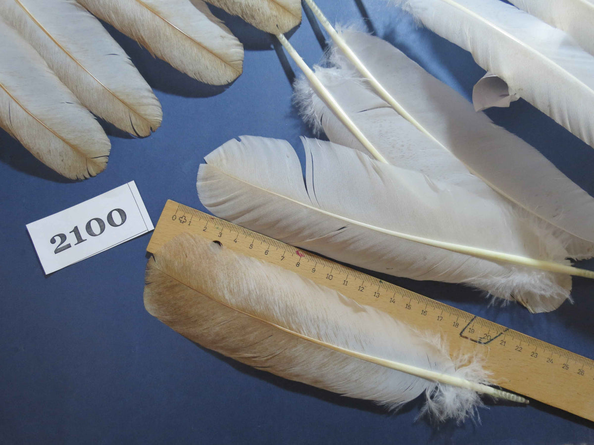 38 Pcs Turkey Wing Feathers, Fly Tying Material,Craft Feathers,Natural Turkey Feathers (2100)