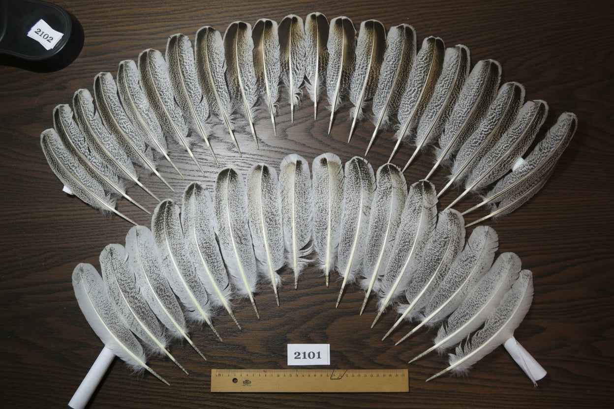 38 Pcs Turkey Wing Feathers, Fly Tying Material,Craft Feathers,Natural Turkey Feathers (2101)