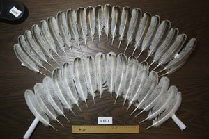 38 Pcs Turkey Wing Feathers, Fly Tying Material,Craft Feathers,Natural Turkey Feathers (2101)
