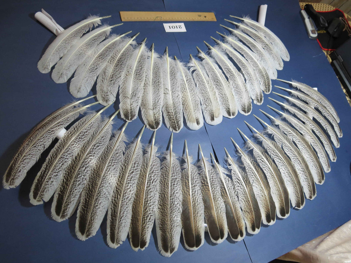 38 Pcs Turkey Wing Feathers, Fly Tying Material,Craft Feathers,Natural Turkey Feathers (2101)