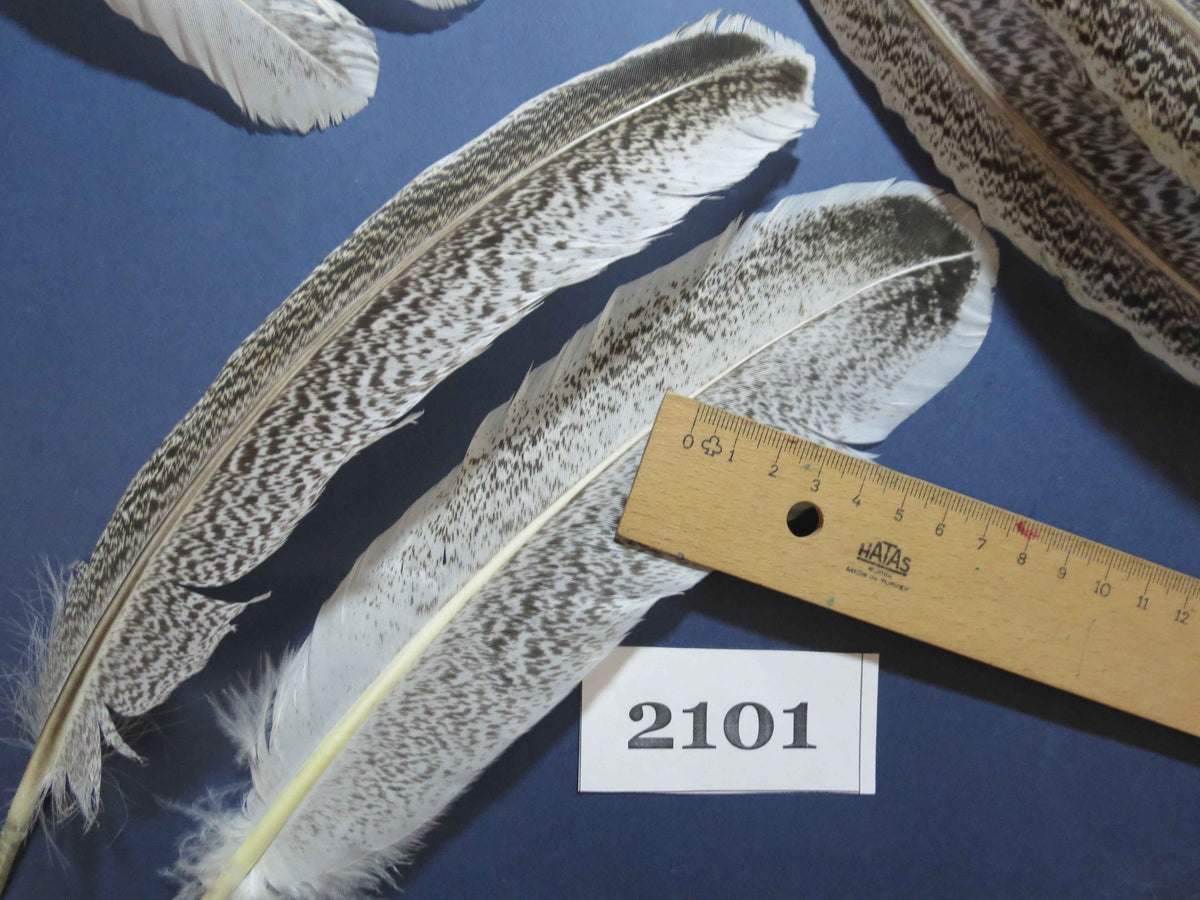38 Pcs Turkey Wing Feathers, Fly Tying Material,Craft Feathers,Natural Turkey Feathers (2101)
