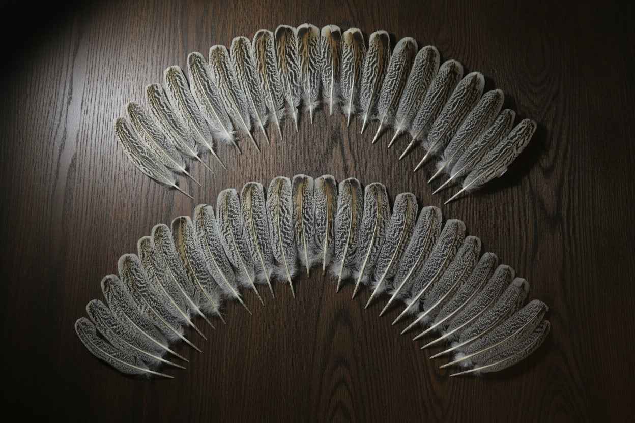 44 Pcs Turkey Wing Feathers, Fly Tying Material,Craft Feathers,Natural Turkey Feathers (2102)