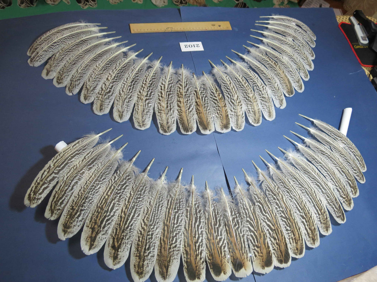 44 Pcs Turkey Wing Feathers, Fly Tying Material,Craft Feathers,Natural Turkey Feathers (2102)