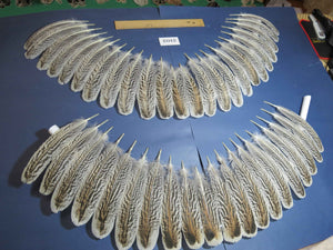 44 Pcs Turkey Wing Feathers, Fly Tying Material,Craft Feathers,Natural Turkey Feathers (2102)