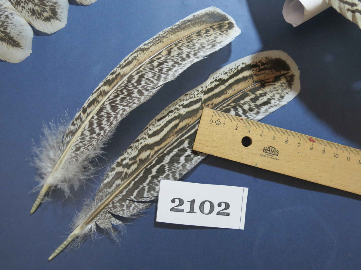 44 Pcs Turkey Wing Feathers, Fly Tying Material,Craft Feathers,Natural Turkey Feathers (2102)