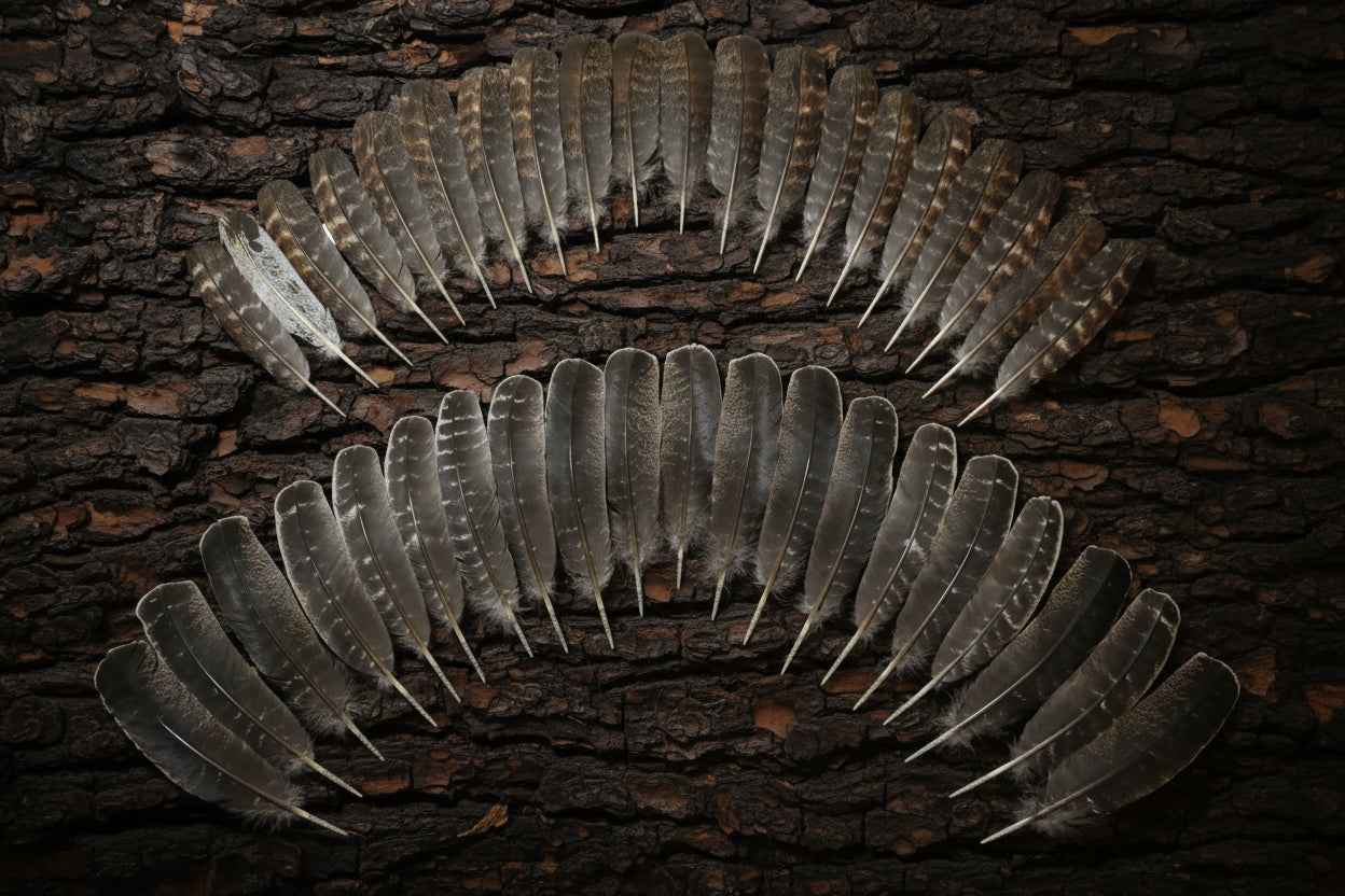 40 Pcs Turkey Wing Feathers, Fly Tying Material,Craft Feathers,Natural Turkey Feathers (2104)