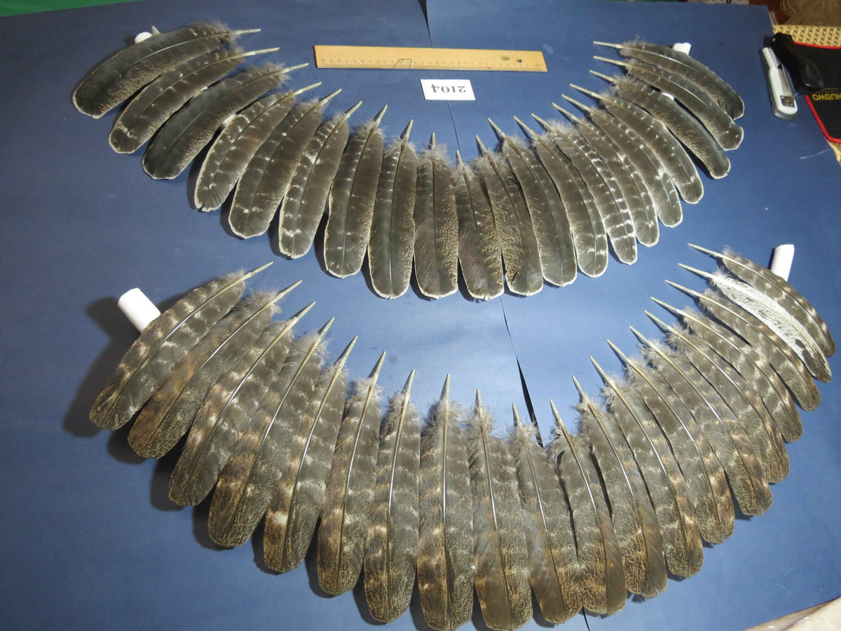 40 Pcs Turkey Wing Feathers, Fly Tying Material,Craft Feathers,Natural Turkey Feathers (2104)