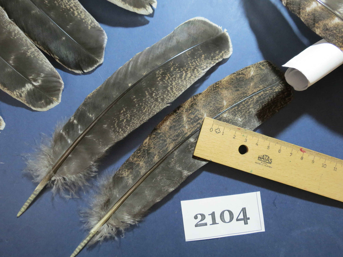 40 Pcs Turkey Wing Feathers, Fly Tying Material,Craft Feathers,Natural Turkey Feathers (2104)