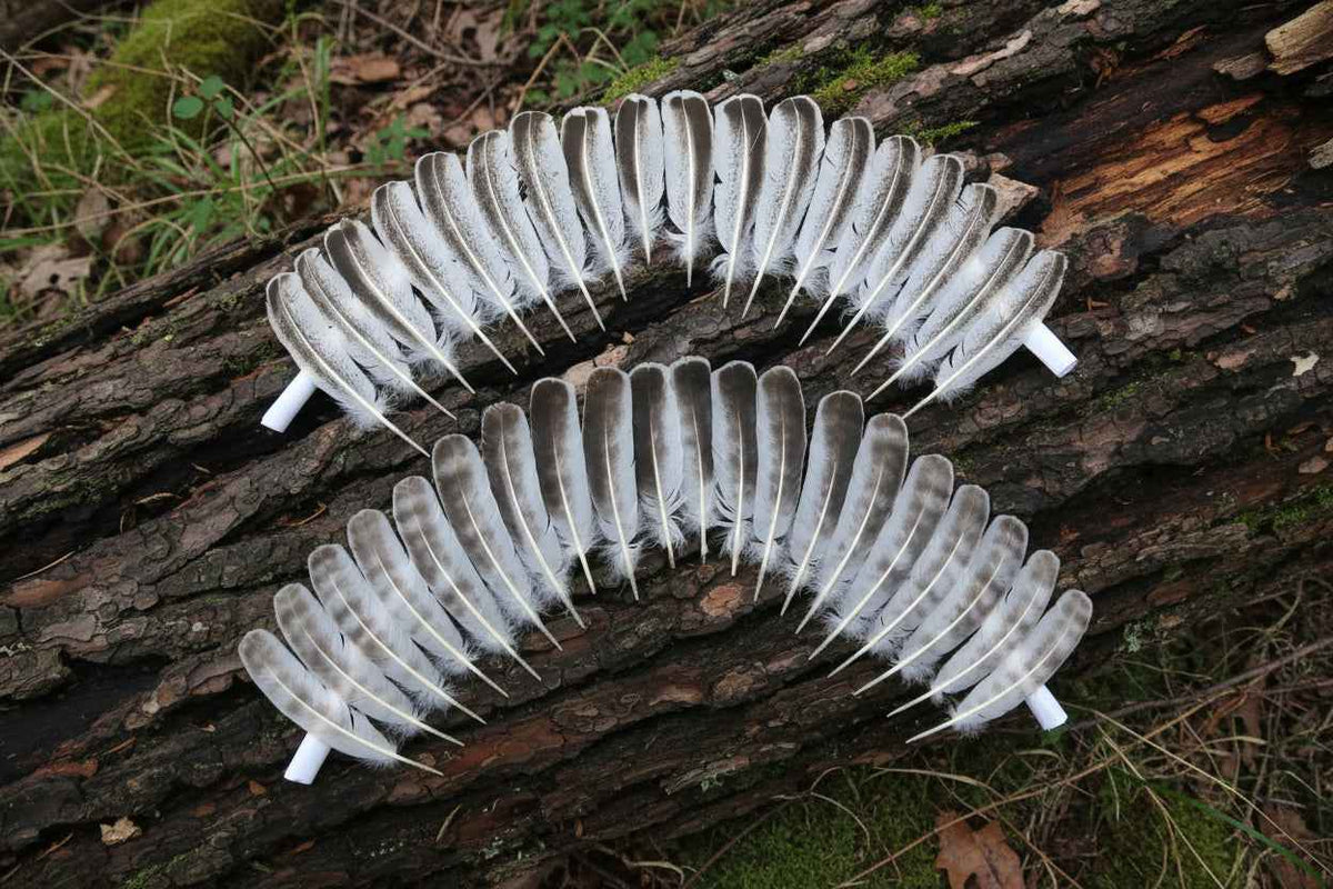 38 Pcs Turkey Wing Feathers, Fly Tying Material,Craft Feathers,Natural Turkey Feathers (2105)