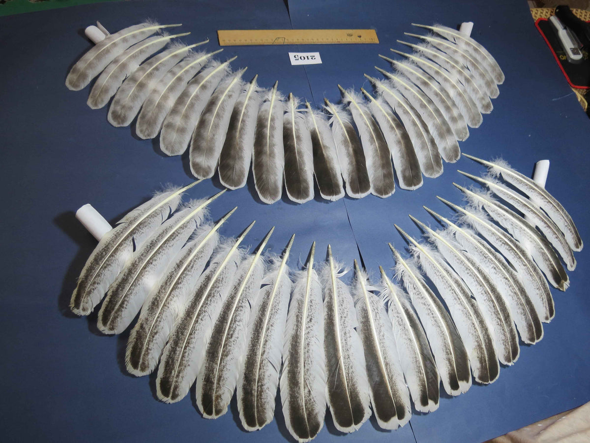 38 Pcs Turkey Wing Feathers, Fly Tying Material,Craft Feathers,Natural Turkey Feathers (2105)