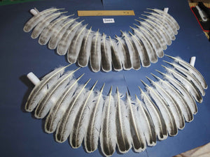 38 Pcs Turkey Wing Feathers, Fly Tying Material,Craft Feathers,Natural Turkey Feathers (2105)