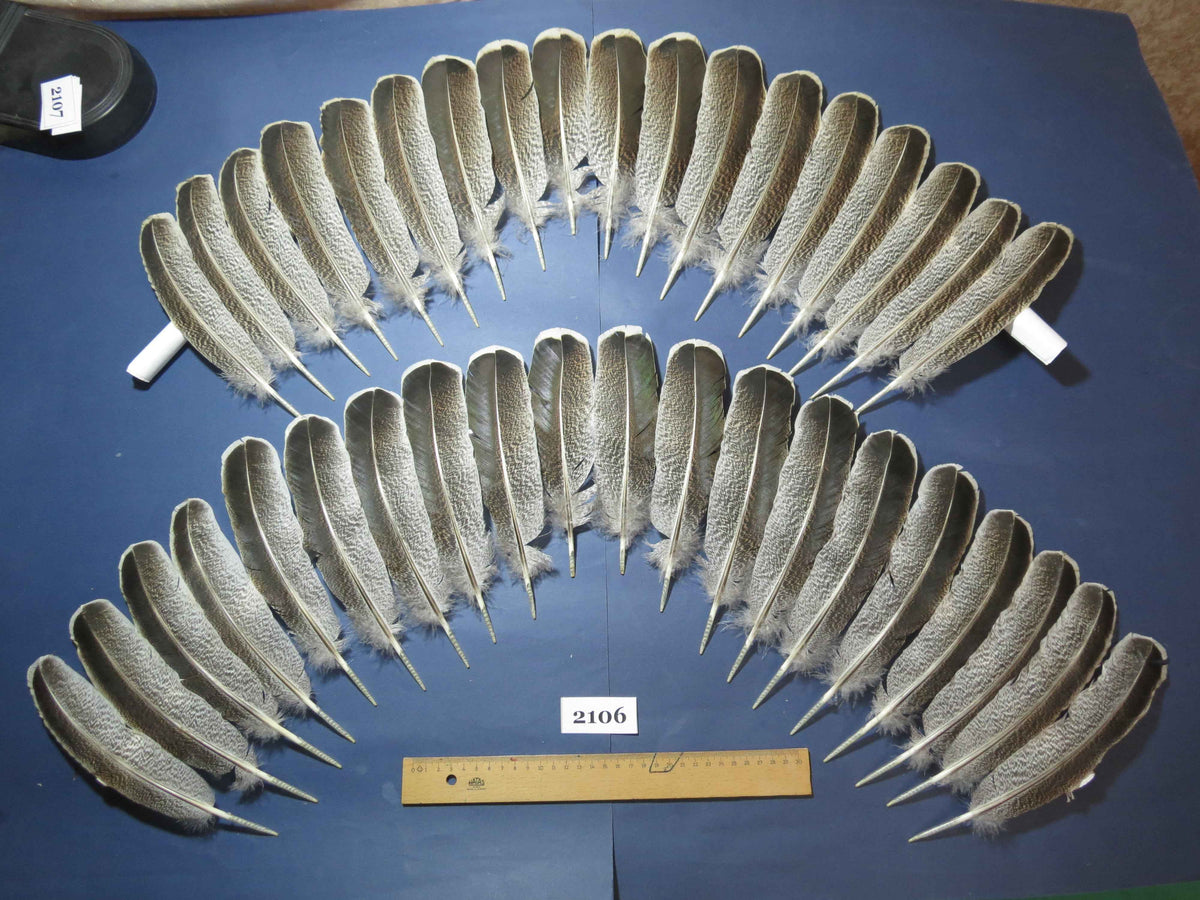 38 Pcs Turkey Wing Feathers, Fly Tying Material,Craft Feathers,Natural Turkey Feathers (2106)
