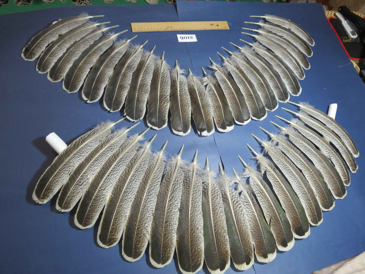 38 Pcs Turkey Wing Feathers, Fly Tying Material,Craft Feathers,Natural Turkey Feathers (2106)