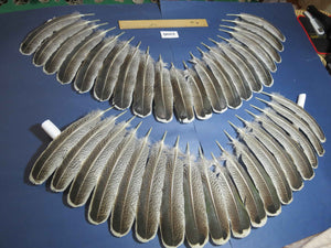 38 Pcs Turkey Wing Feathers, Fly Tying Material,Craft Feathers,Natural Turkey Feathers (2106)