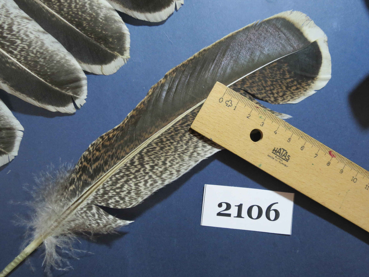 38 Pcs Turkey Wing Feathers, Fly Tying Material,Craft Feathers,Natural Turkey Feathers (2106)