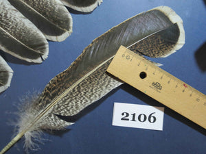 38 Pcs Turkey Wing Feathers, Fly Tying Material,Craft Feathers,Natural Turkey Feathers (2106)