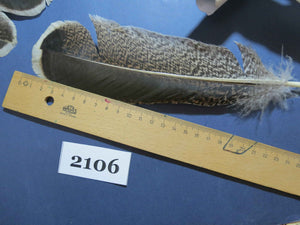 38 Pcs Turkey Wing Feathers, Fly Tying Material,Craft Feathers,Natural Turkey Feathers (2106)