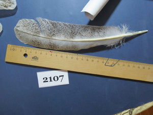 34 Pcs Turkey Wing Feathers, Fly Tying Material,Craft Feathers,Natural Turkey Feathers (2107)