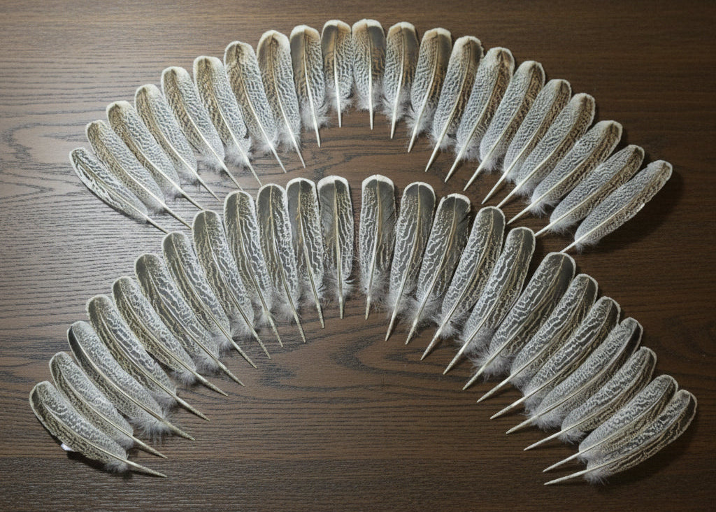 natural turkey feathers
