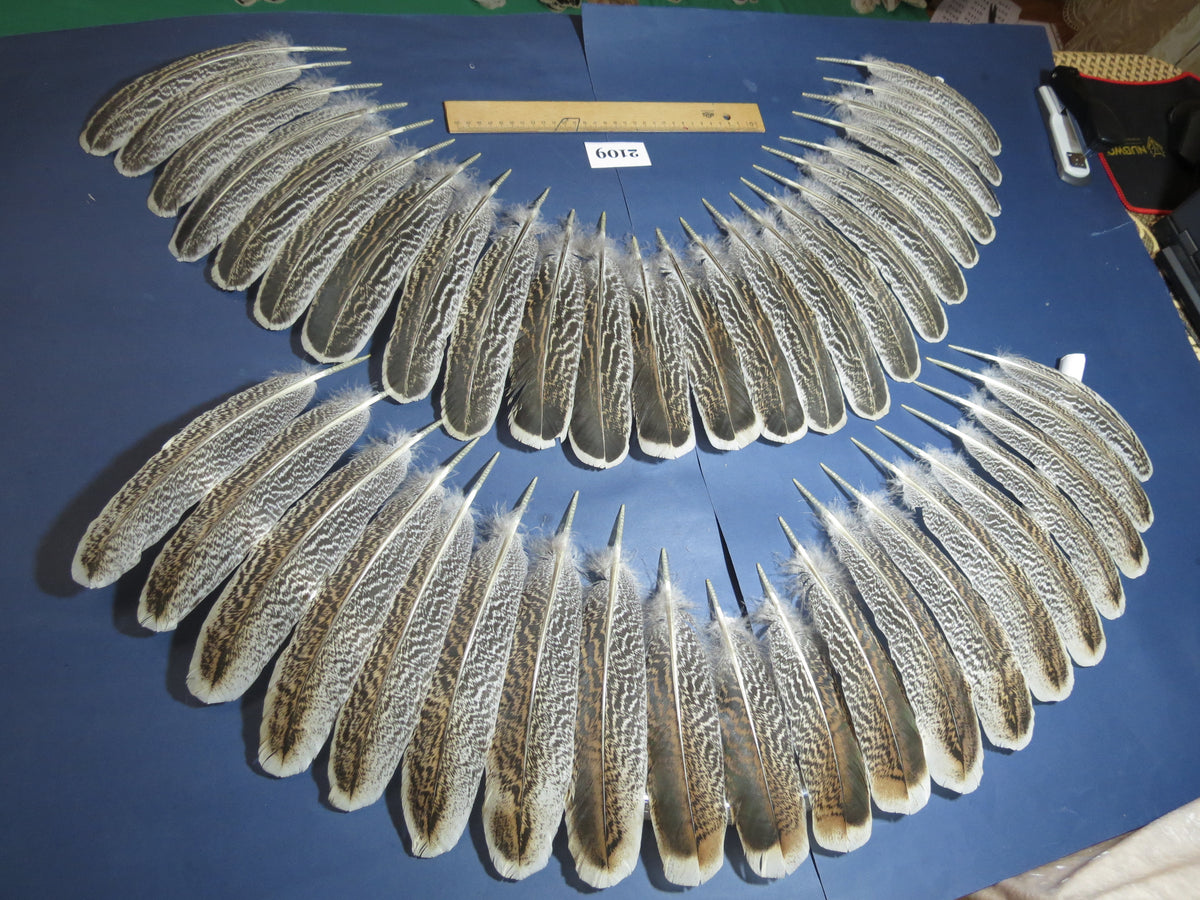 44 Pcs Turkey Wing Feathers, Fly Tying Material,Craft Feathers,Natural Turkey Feathers (2109)