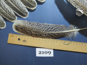 44 Pcs Turkey Wing Feathers, Fly Tying Material,Craft Feathers,Natural Turkey Feathers (2109)