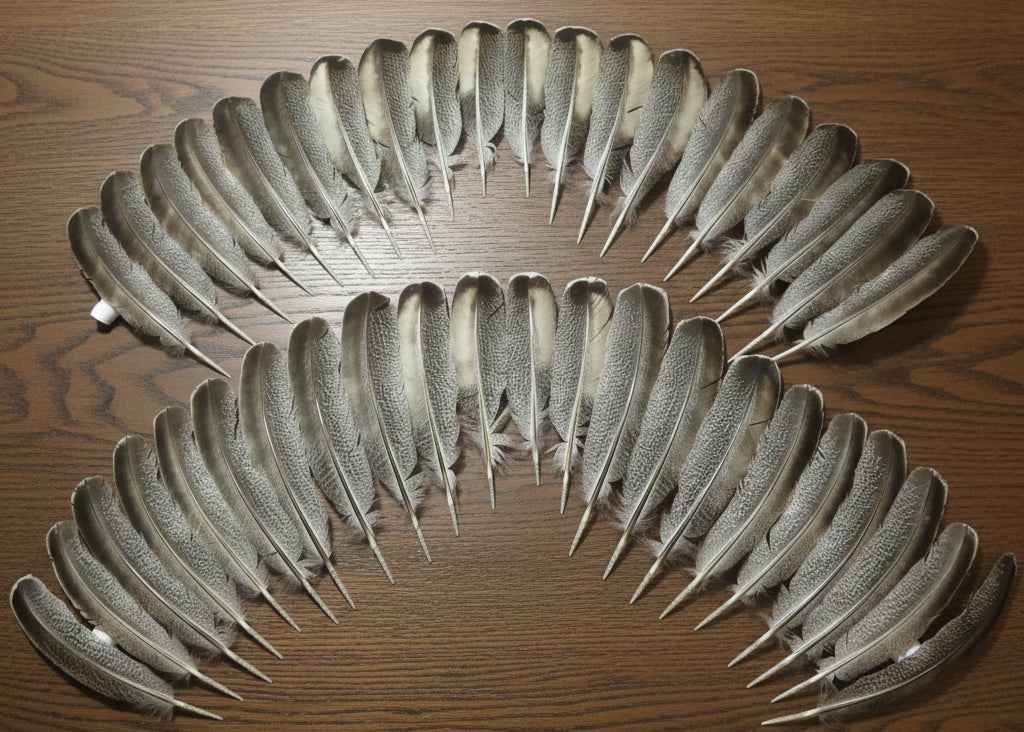 42 Pcs Turkey Wing Feathers, Fly Tying Material,Craft Feathers,Natural Turkey Feathers (2110)
