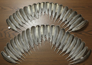 natural turkey feathers