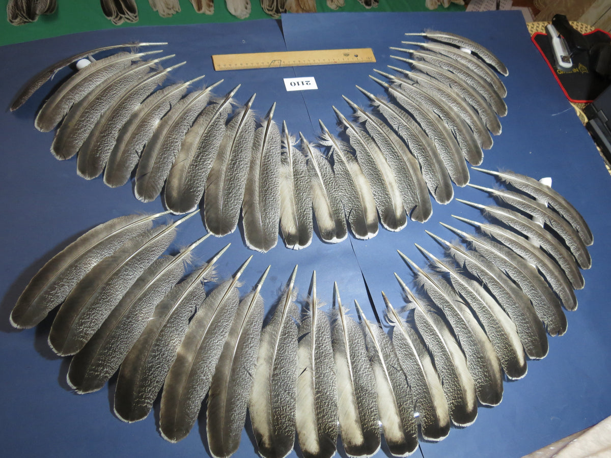 42 Pcs Turkey Wing Feathers, Fly Tying Material,Craft Feathers,Natural Turkey Feathers (2110)