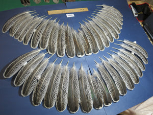 40 Pcs Turkey Wing Feathers, Fly Tying Material,Craft Feathers,Natural Turkey Feathers (2112)