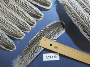 40 Pcs Turkey Wing Feathers, Fly Tying Material,Craft Feathers,Natural Turkey Feathers (2112)
