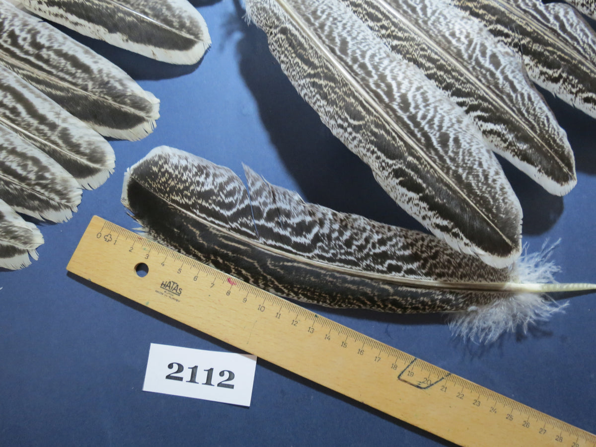 40 Pcs Turkey Wing Feathers, Fly Tying Material,Craft Feathers,Natural Turkey Feathers (2112)