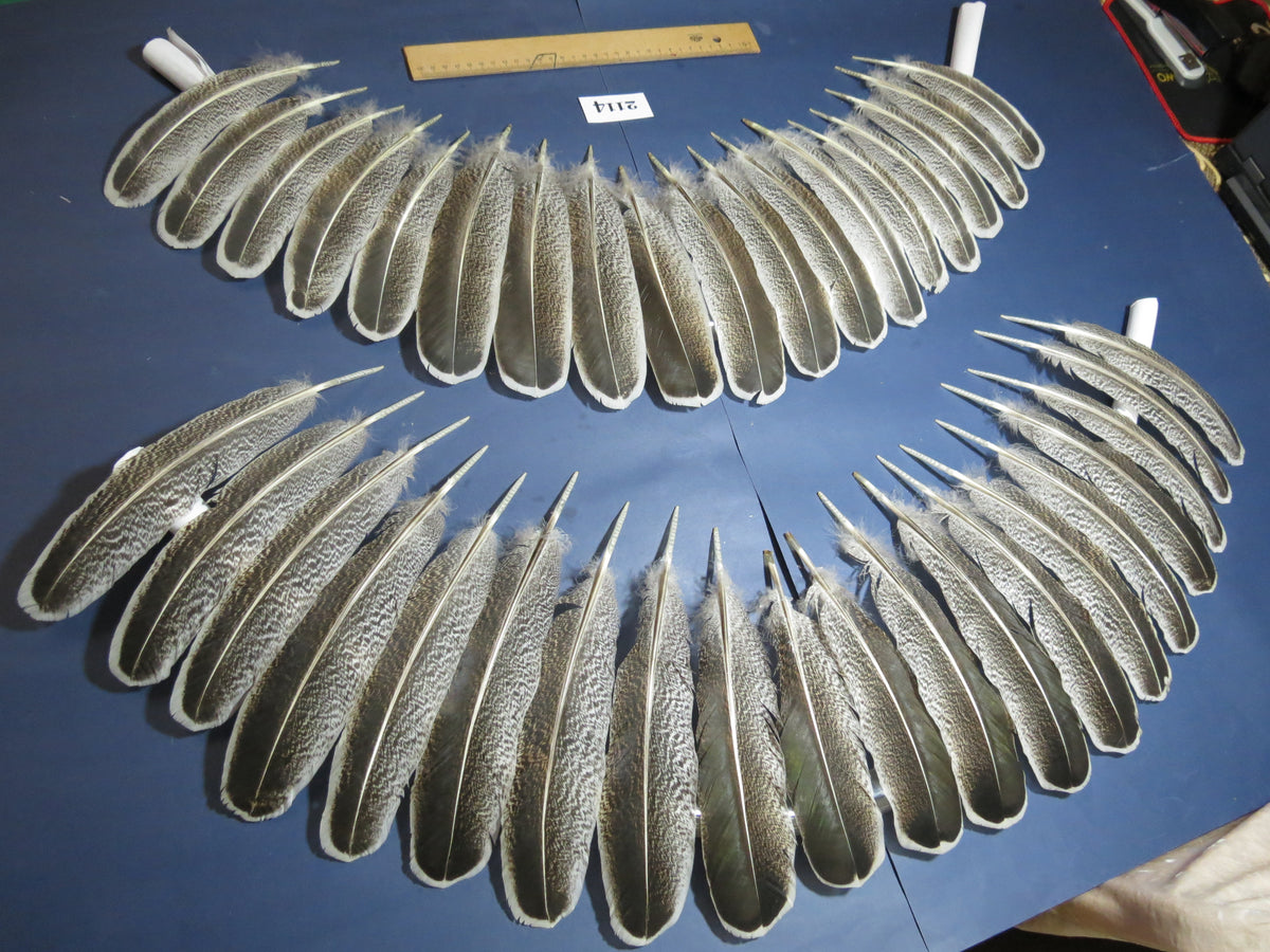 38 Pcs Turkey Wing Feathers, Fly Tying Material,Craft Feathers,Natural Turkey Feathers (2114)