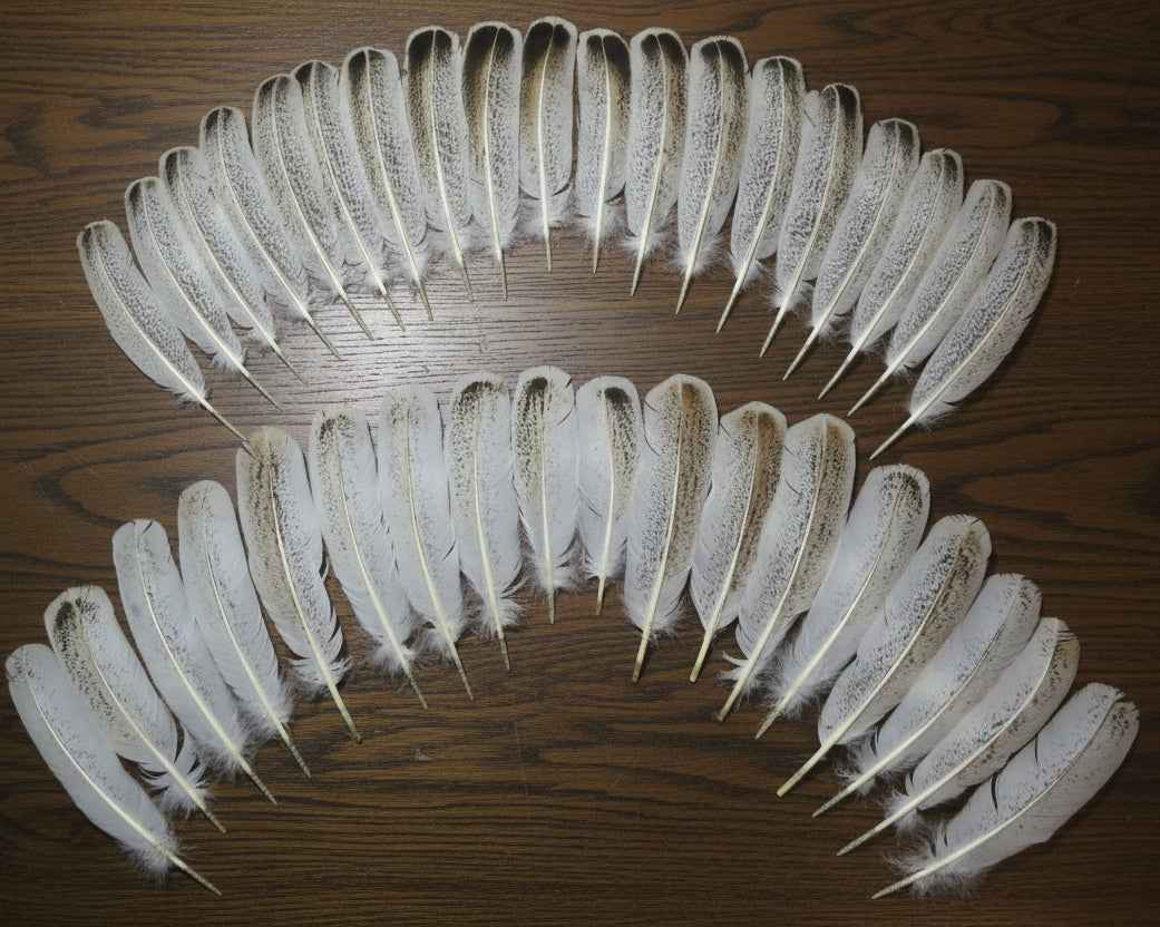 36 Pcs Turkey Wing Feathers, Fly Tying Material,Craft Feathers,Natural Turkey Feathers (2115)