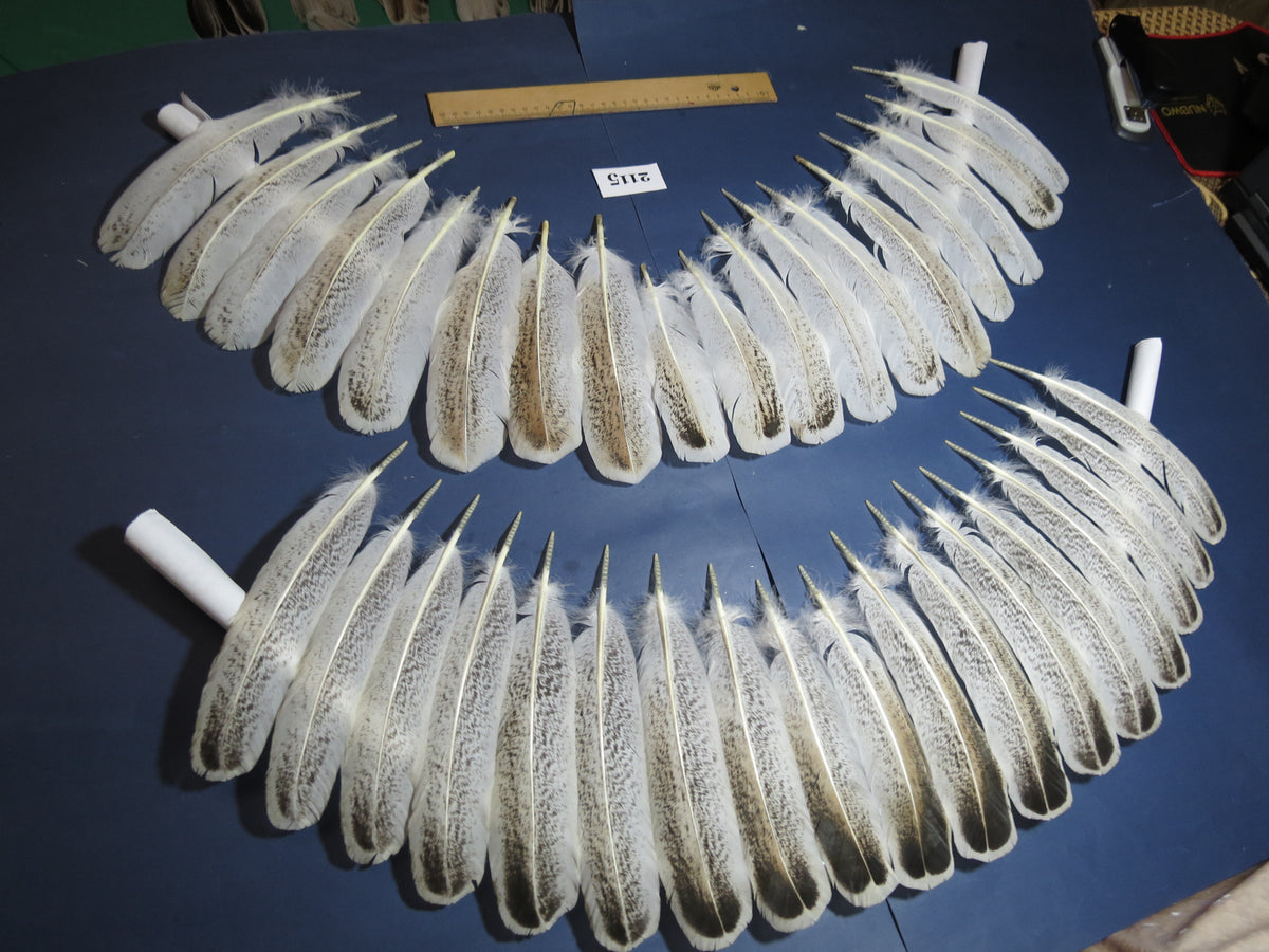 36 Pcs Turkey Wing Feathers, Fly Tying Material,Craft Feathers,Natural Turkey Feathers (2115)