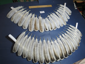 36 Pcs Turkey Wing Feathers, Fly Tying Material,Craft Feathers,Natural Turkey Feathers (2115)