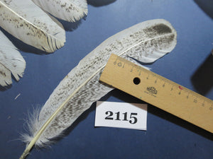 36 Pcs Turkey Wing Feathers, Fly Tying Material,Craft Feathers,Natural Turkey Feathers (2115)