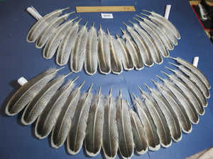 34 Pcs Turkey Wing Feathers, Fly Tying Material,Craft Feathers,Natural Turkey Feathers (2116)
