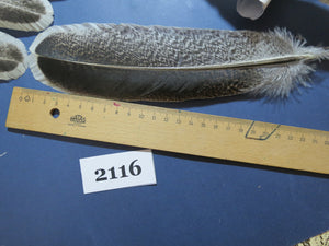 34 Pcs Turkey Wing Feathers, Fly Tying Material,Craft Feathers,Natural Turkey Feathers (2116)
