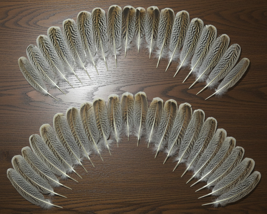 natural turkey feathers