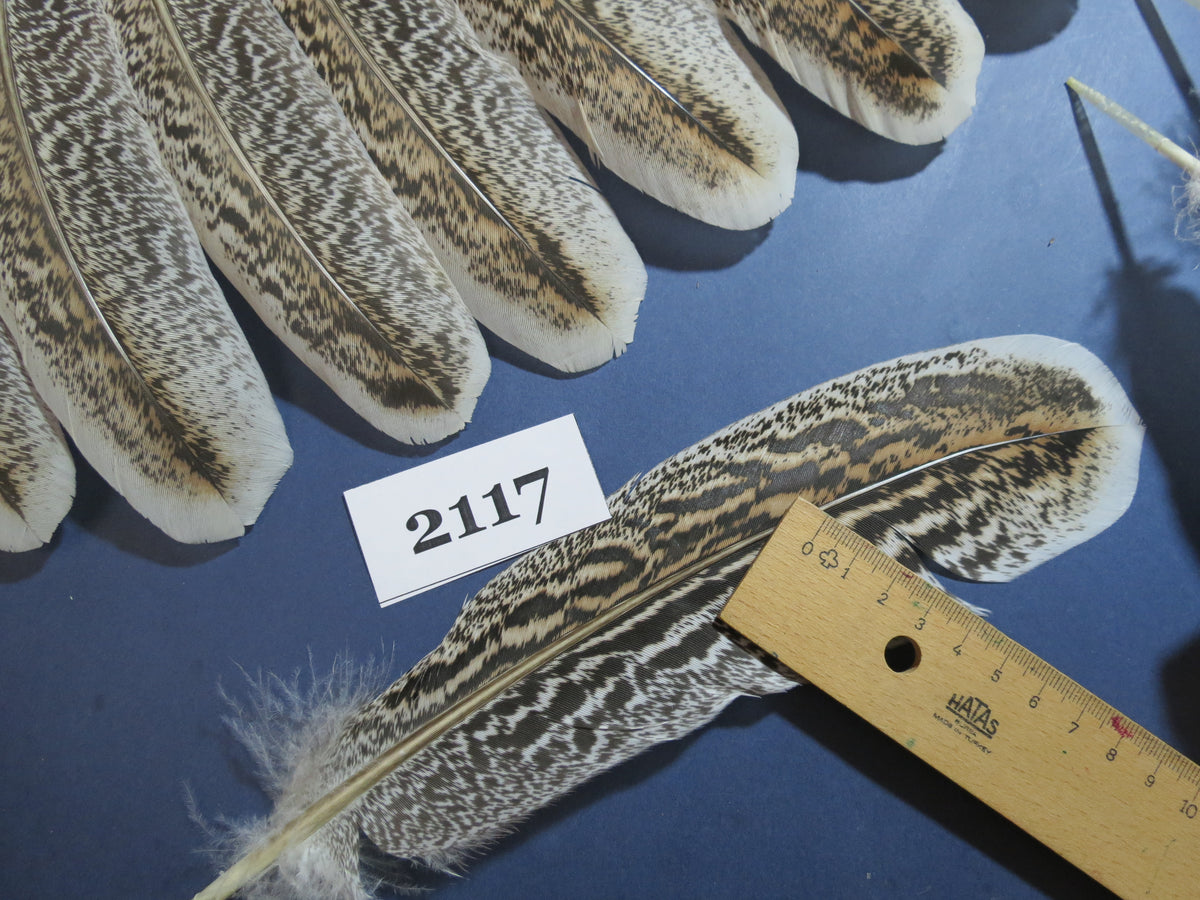 40 Pcs Turkey Wing Feathers, Fly Tying Material,Craft Feathers,Natural Turkey Feathers (2117)
