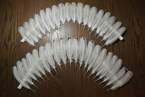 natural turkey feathers