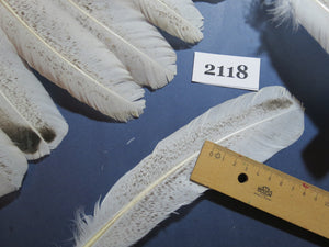 38 Pcs Turkey Wing Feathers, Fly Tying Material,Craft Feathers,Natural Turkey Feathers (2118)
