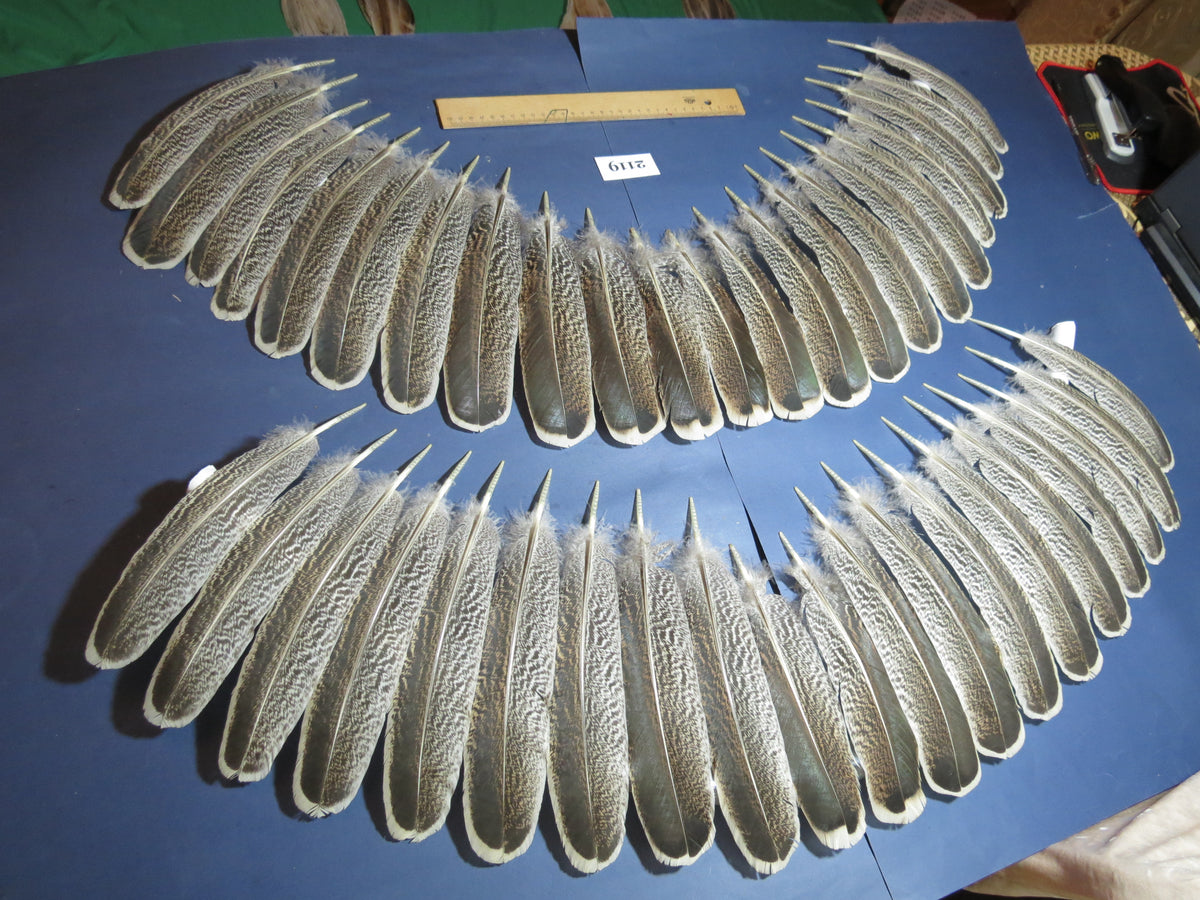 44 Pcs Turkey Wing Feathers, Fly Tying Material,Craft Feathers,Natural Turkey Feathers (2119)