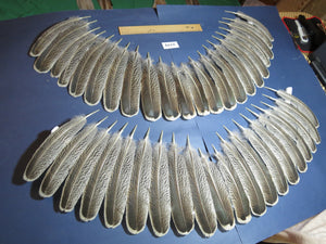 44 Pcs Turkey Wing Feathers, Fly Tying Material,Craft Feathers,Natural Turkey Feathers (2119)