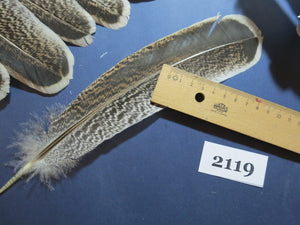 44 Pcs Turkey Wing Feathers, Fly Tying Material,Craft Feathers,Natural Turkey Feathers (2119)
